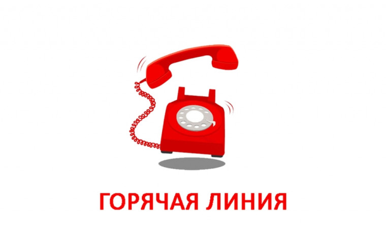 Тематическая «горячая линия».